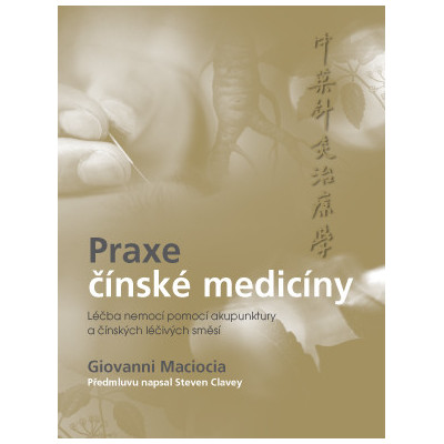 Praxe čínské medicíny – Léčba onemocnění pomocí akupunktury a čínských léčivých směsí