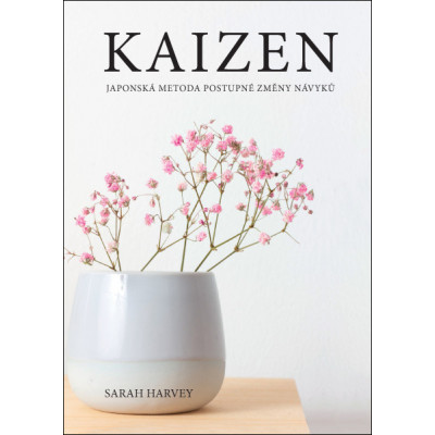 Kaizen – Japonská metoda postupné změny návyků